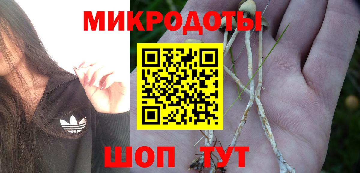 Псилоцибиновые грибы GOLDEN TEACHER  Вход с VPN  Галлюциногенные грибы мицелий  Нефтеюганск 
